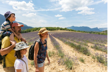 Balade en famille dans les lavandes Xavier Mordefroid